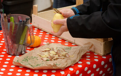 5 astuces simples pour éviter le gaspillage alimentaire à la maison